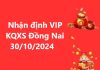 Nhận định VIP KQXS Đồng Nai 30/10/2024