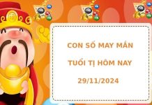 Con số may mắn tuổi Tị hôm nay 29/11/2024 dễ ăn